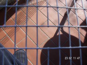 20 06 frontalino.jpg